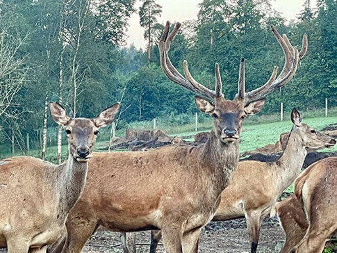 150 rennes (épisode 9)