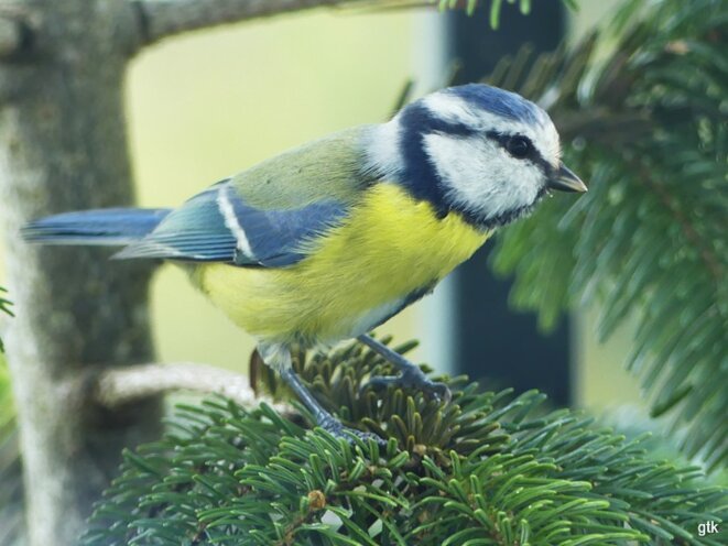 Encore un livre à lire
