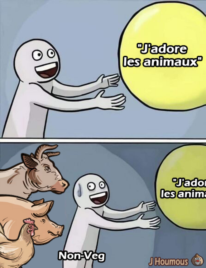 J'adore les animaux
