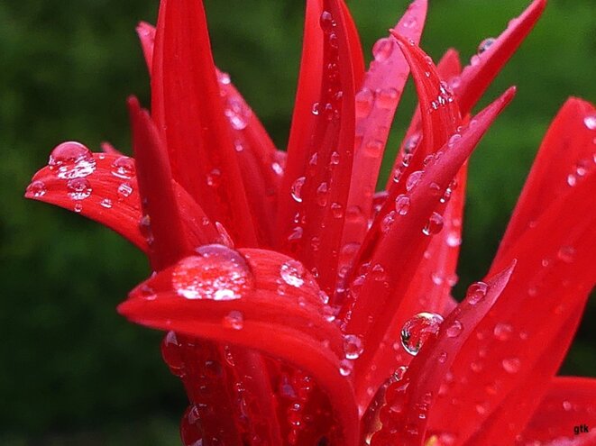 La pluie du dimanche