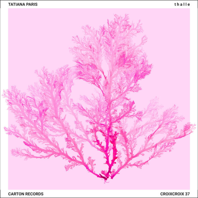 Thalle de Tatiana Paris