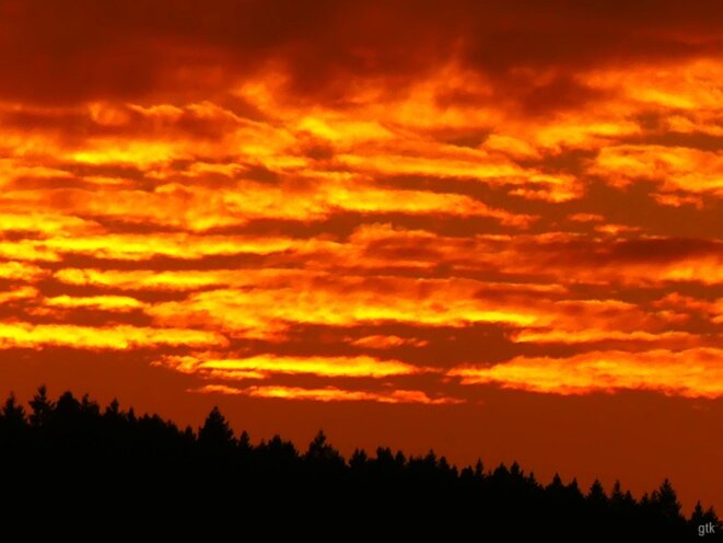 L’écoeurement est total