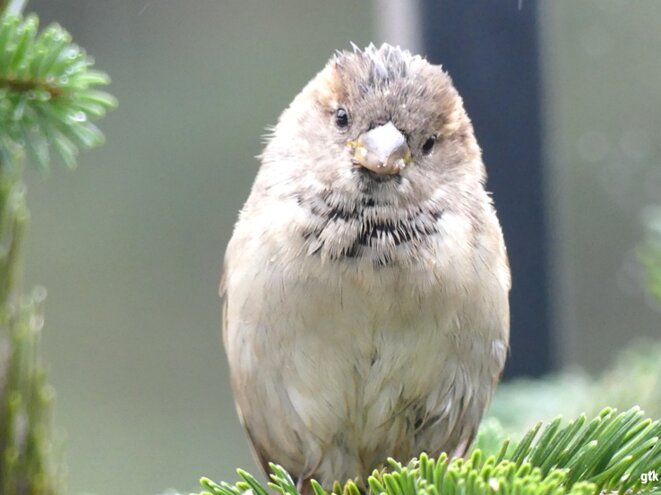 Cinq ans de prison pour association de malfaiteurs