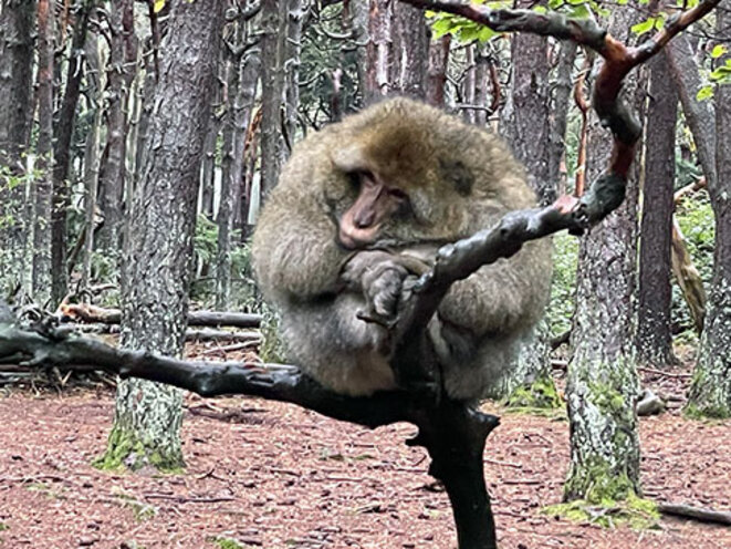 Aventures alsaciennes