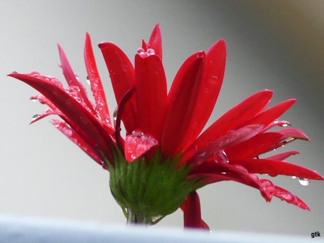 L’horreur à Gaza, à cause de l’extrême droite israélienne