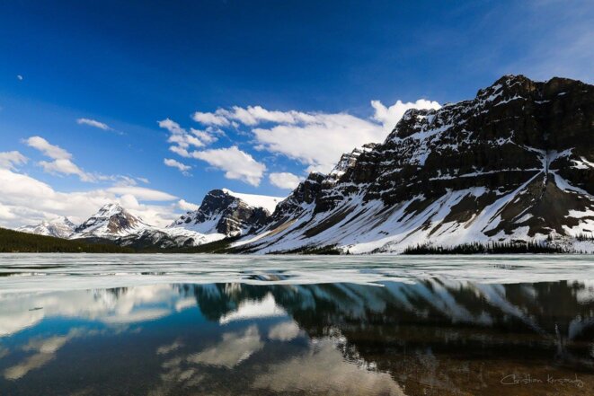 L'autisme ne doit pas être considéré comme une condition unique ayant une seule cause
