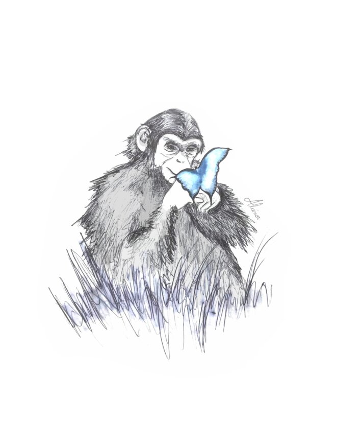 Au revoir Jane Goodall