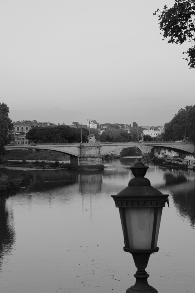 R. Di Noto (avatar)