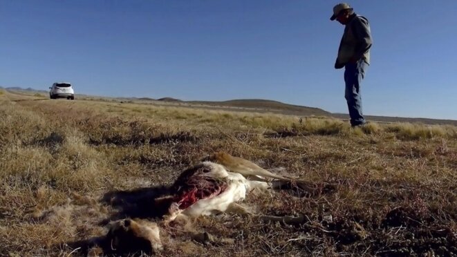 Cinémondes 2025 : "Les Recommencements" de Vivianne Perelmuter et Isabelle Ingold