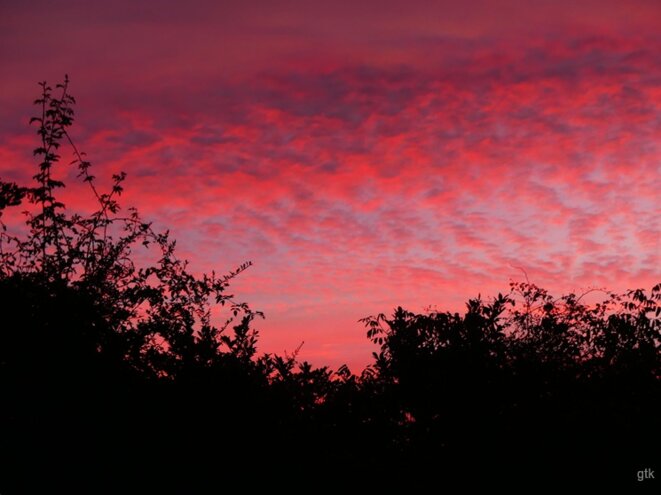 Miracle champêtre du vendredi