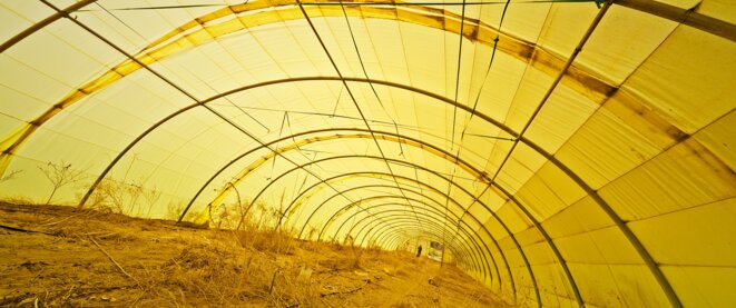 Entretien avec Marcel Mrejen, réalisateur de "Memories of an Unborn Sun"