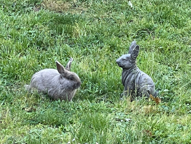 Obsédé du contrôle ou laisser faire ?