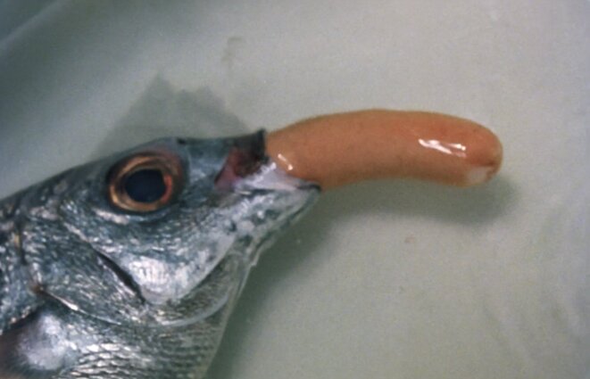 "Bilbao" de Bigas Luna