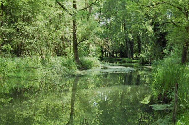 Entre Rimarde et Essonne.