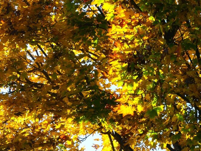 Non, Monsieur le Premier ministre