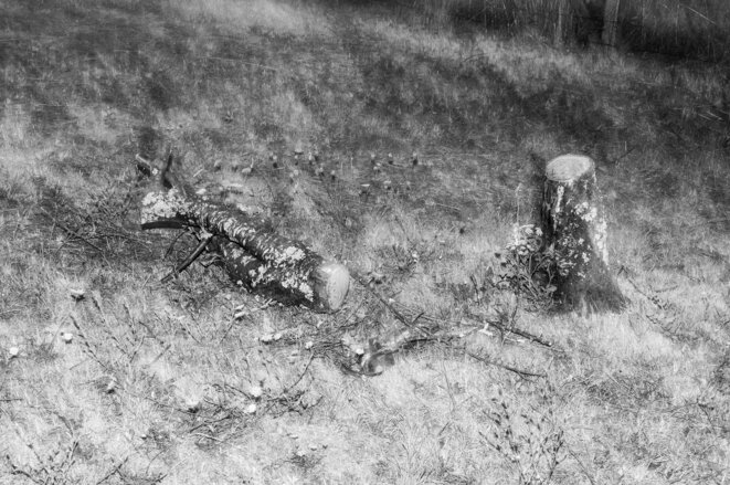 Il y a plein de gens qui vivent très bien de la photographie — sauf les photographes