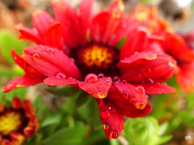 Il a fait son petit rototo après sa première nuit, le prisonnier ?