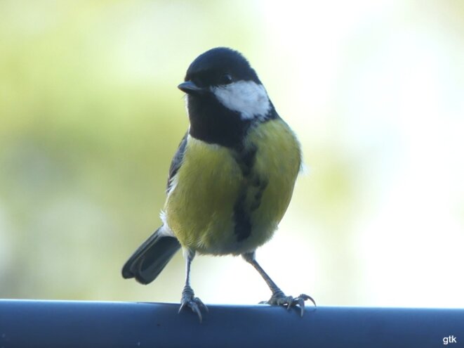 Quand les mots sont de trop