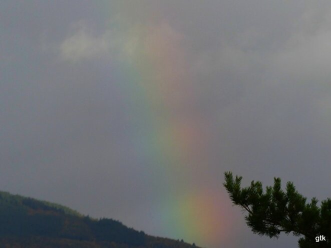 Vous qui passez parmi les paroles passagères