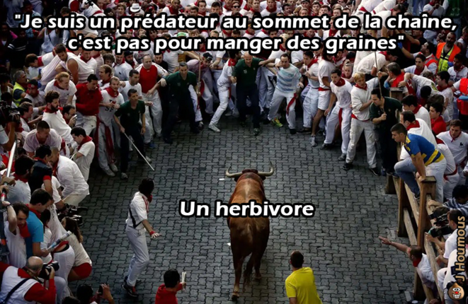 Prédateurs au sommet