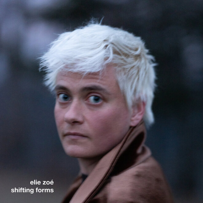elie zoé « Shifting forms »