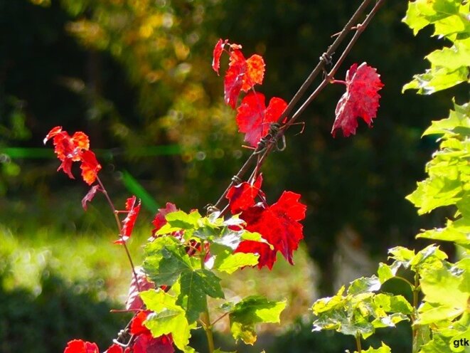 Ne dites plus violences policières