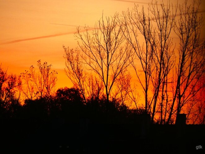 Le racisme en France