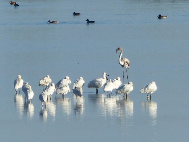 La Libre Nature chère à Élisée Reclus