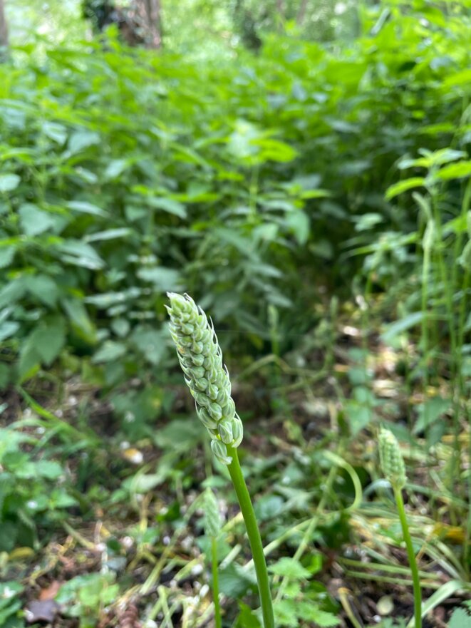 Contre la stratégie de la peur? La poésie