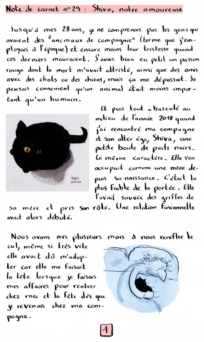 Note de carnet n°29 : Shiva, notre amoureuse