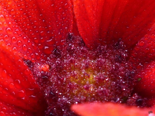 « On n’est pas des racailles »