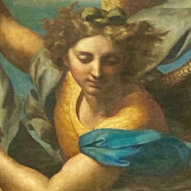 1 /3  RESTAURATION-CONSERVATION = DÉSINFORMATION !