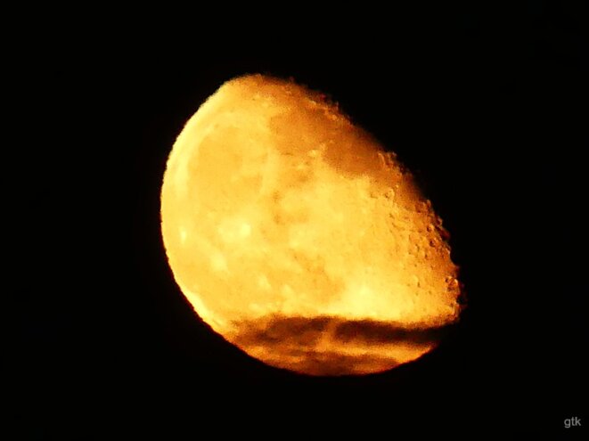 « Touche moi pas »