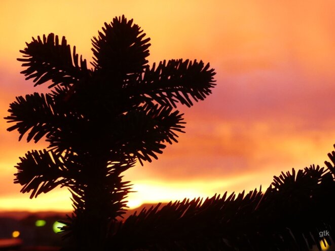 Viens je t’emmène encore