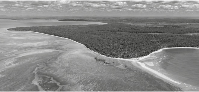 Île à Bahia: un milliardaire désiste, mais deux projets d'hôtels de luxe persistent