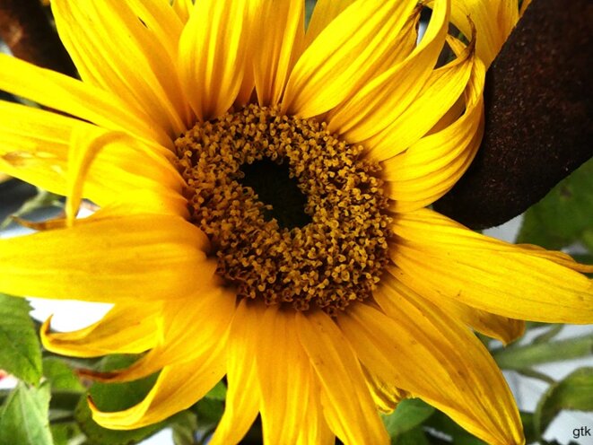 C’était pas mieux avant