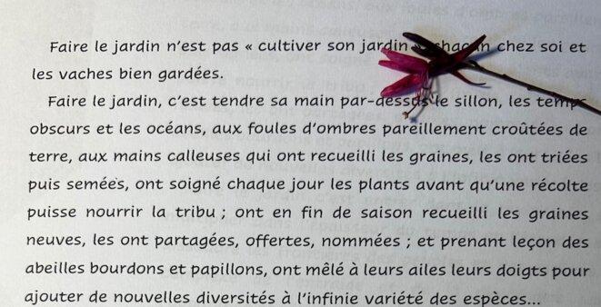 DEVENIR JARDIN, publication du syndicat mixte des lombrics & plantoirs associés. 01