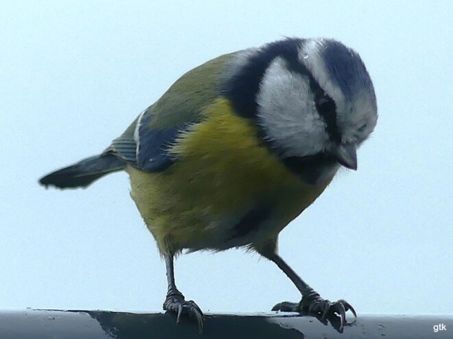 Une grande première fois