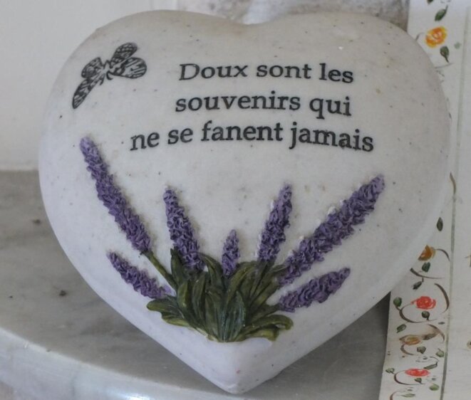 Histoire du rugby dans les Landes