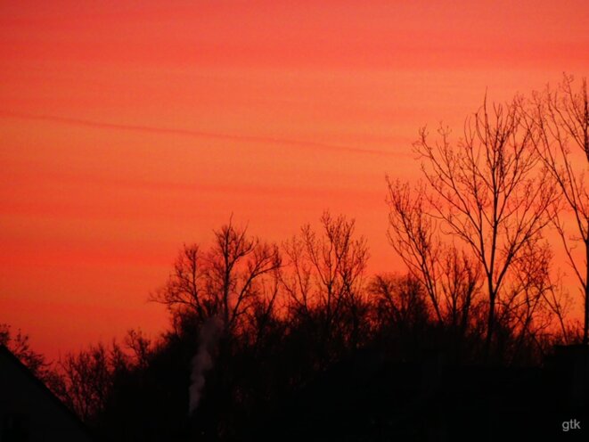 La Palestine appartient aux Palestiniens