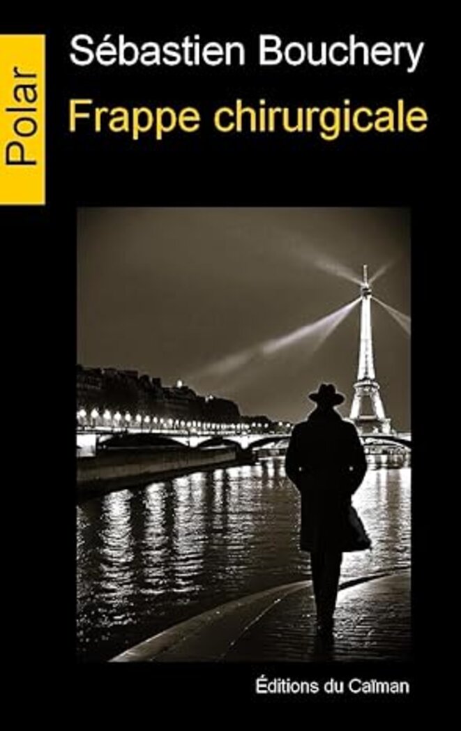 Frappe chirurgicale de Sébastien Bouchery