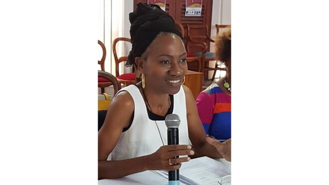 Pierre-Louis Mireille (avatar)