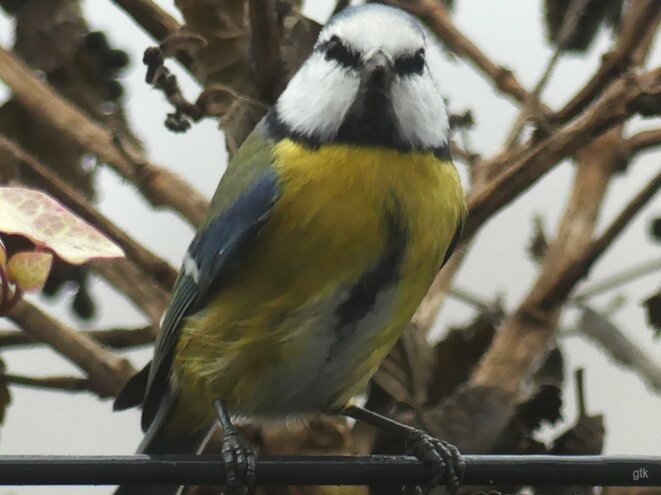 Israël paie pour rester impuni