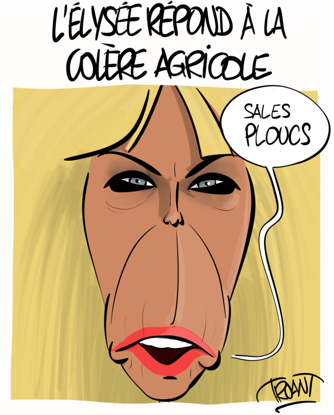 Pas toutes les vaches