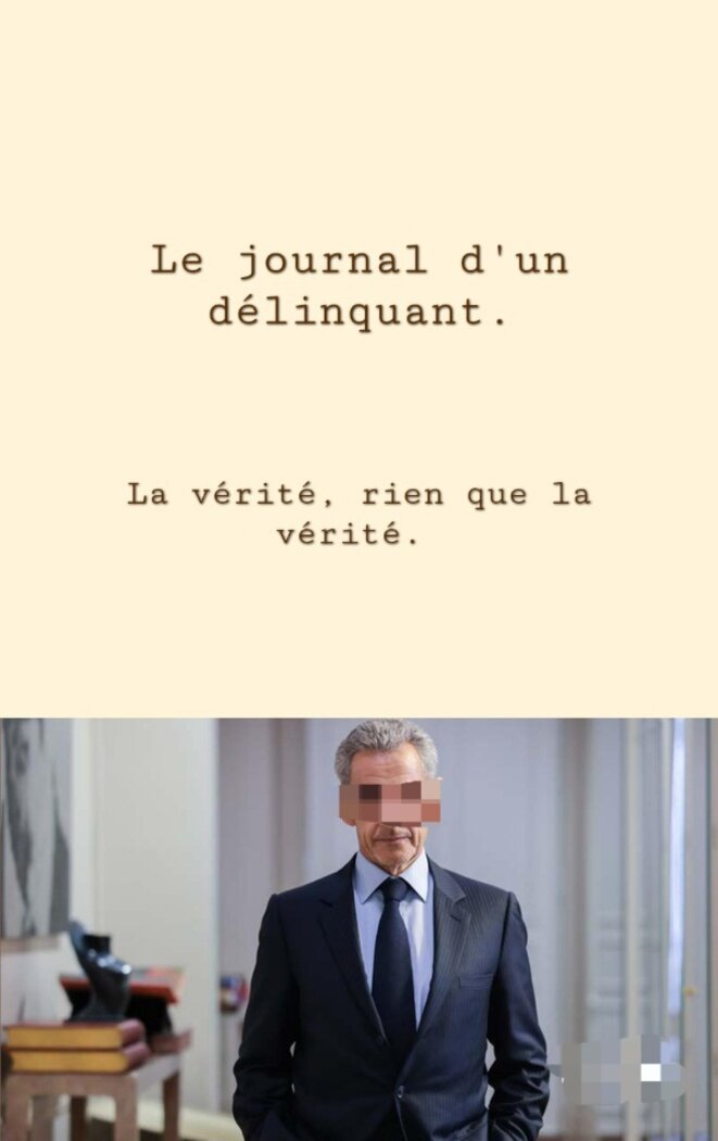 Journal d'un délinquant. La vérité, rien que la vérité