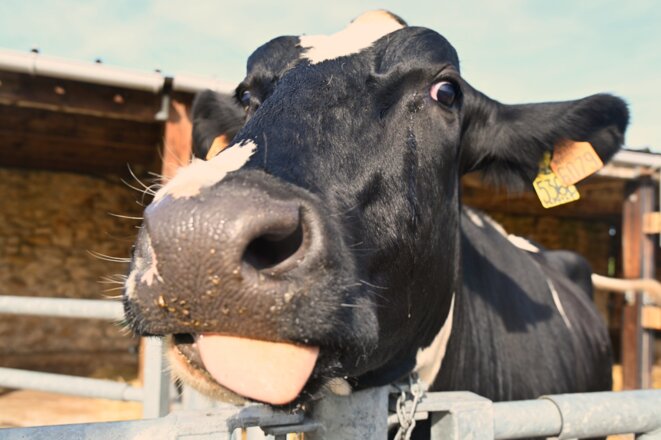 On achève bien les paysans