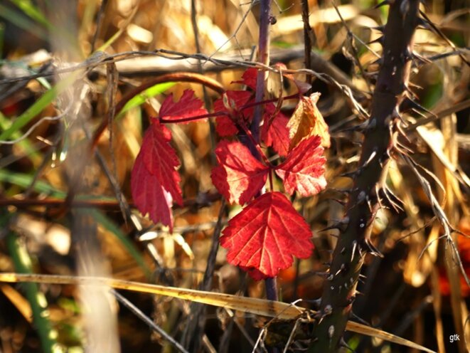 Ça y est, c’est l’hiver