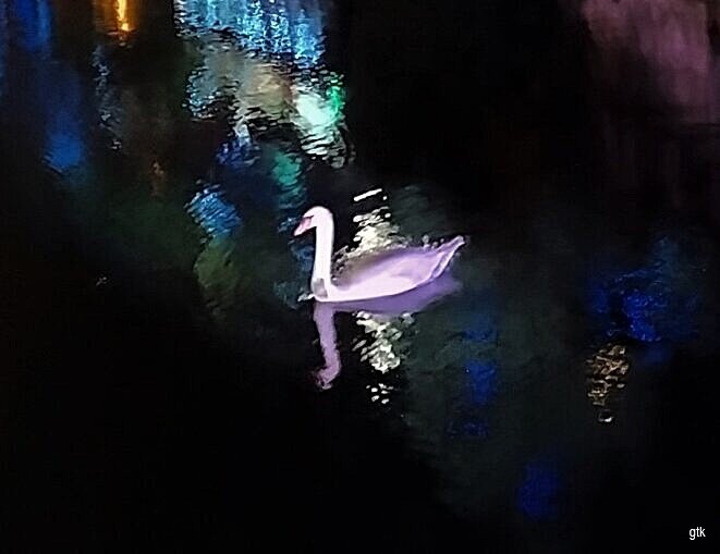 C’est pas tous les jours Noël