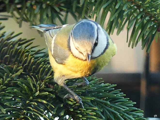 Le problème d’Israël, c’est son gouvernement