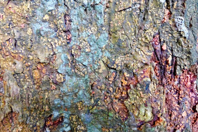 Loi Refondation Mayotte et violence politique #3